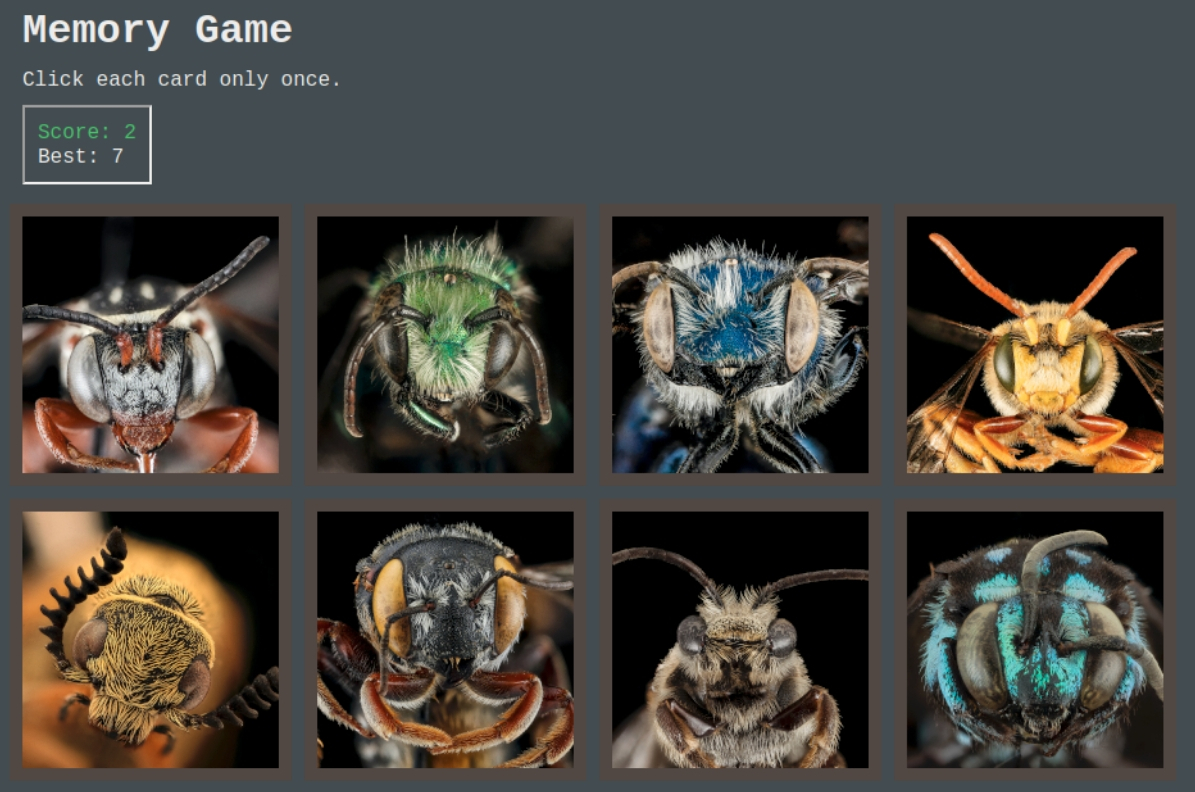 screenshot of in-app overview